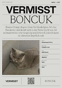 Boncuk