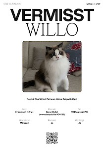 Willo