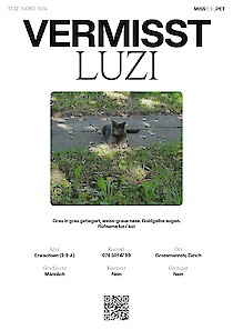 Luzi