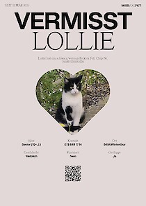Lollie